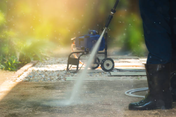 Boat and Dock Cleaning in Home Garden, CA